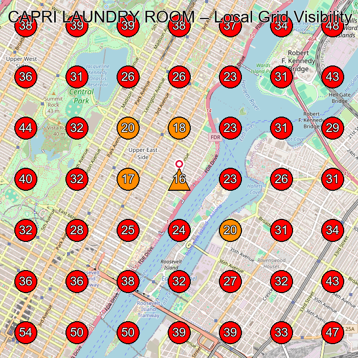 CAPRI LAUNDRY ROOM GeoGrid visibility map for Dry Cleaner in New York